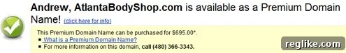 One Year of GoDaddy Premium Listings: My Sales Boost Story 2 GoDaddy Premium Listing Example