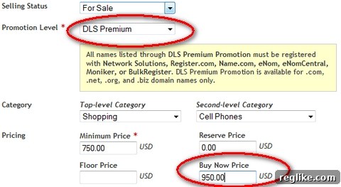Afternic Premium Listing Setup Afternic Premium Listing Interface Example