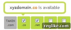 co-netsol img 15342 1