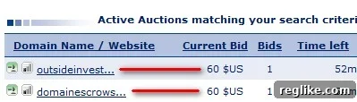 UI Insights for Domain Name Businesses 2 Sedo auction user interface