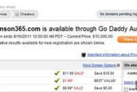 Go Daddy Brings Domain Auctions Directly to Registration