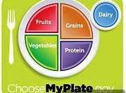 USDA’s MyPlate Domains: A Missed Opportunity