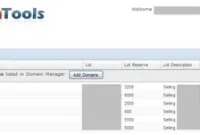 Effortless Domain Submission to TrafficZ Auction
