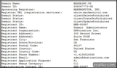 MarkMonitor Ensures Robust .Us WHOIS Privacy 2 US WHOIS record showing DNStination Inc. as registrant, effectively a MarkMonitor proxy service for a .US domain