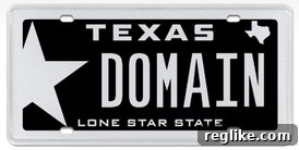 Texas license plate displaying 'TXDOMAINS'