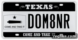 Texas license plate displaying 'DOMAINER'