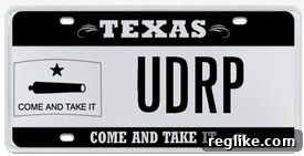 Texas license plate displaying 'UDRP'