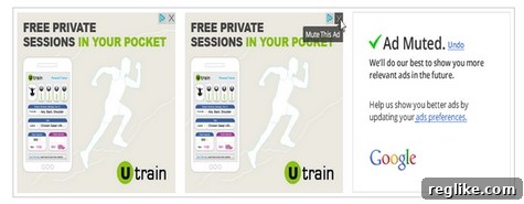 adwords-mute Screenshot showing Google Ad with 'Mute this Ad' option