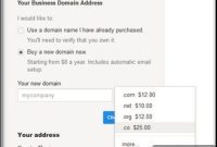Google Workspace Elevates .co Domains