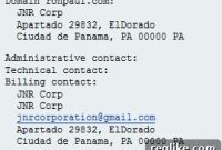 The RonPaul.com Domain Dust-Up: A Humorous Chronicle