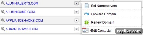 GoDaddy Supercharges Domain Management 2 GoDaddy Domain Manager Nameserver Change
