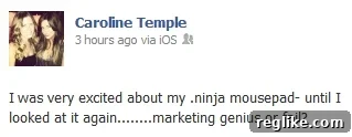 Unmasking the Ninja Business Blueprint 3 caroline-ninja
