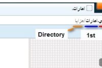 Unraveling Right-to-Left Domain Names
