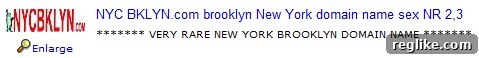 ebayauction-3 eBay auction screenshot of NYC BKLYN.com domain