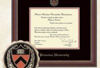The Insight Award DiplomaFramecom