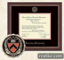 The Insight Award DiplomaFramecom 2 A beautifully crafted diploma frame, symbolizing academic achievement.