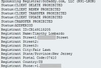 Unmasking ICANN Labs Domain Owners