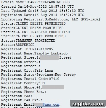 Unmasking ICANN Labs Domain Owners 2 WHOIS data for ICANNPeerLearning.org, showing personal registrant details