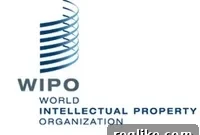 Applauding WIPO’s Global Impact