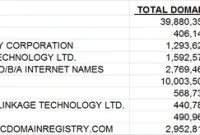 Domain Name Registry Lock: Unpacking the Metrics