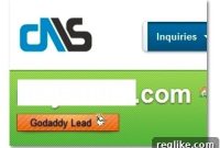 Unpacking GoDaddy Leads on DomainNameSales