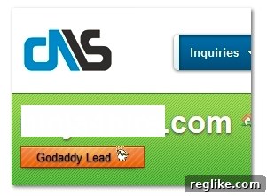 Unpacking GoDaddy Leads on DomainNameSales 2 godaddy-dns