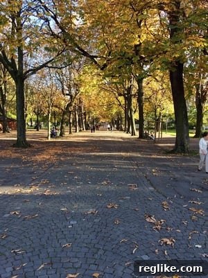 Unlocking UDRP Secrets: A Domain Investor's Journey to WIPO Geneva 2 Geneva streets