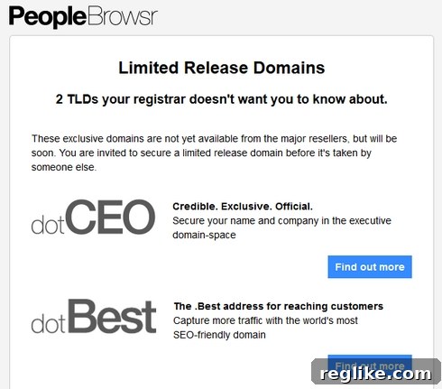 From Gimmicks to Gravitas The New Era of CEO Marketing 2 peoplebrowsr promotional email