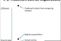 New TLDs: The Stark Reality of Brand Protection