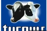 Tucows’ Butterscotch: A Contradictory Concoction