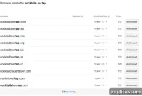 Google New Domain Registrar Unveiled