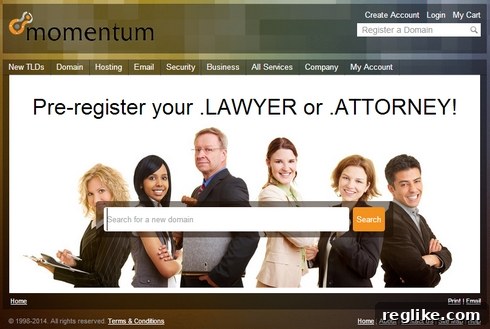 How Niche Resellers are Revolutionizing Domain Names 2 momentum-names