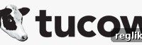 Tucows Cuts 15% of Workforce
