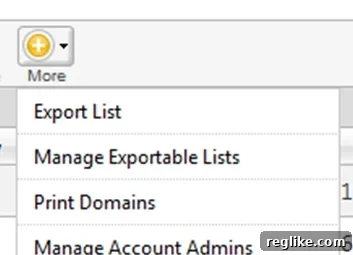 How to Seamlessly Migrate GoDaddy Premium Listings to Afternic 2 GoDaddy Export List Option