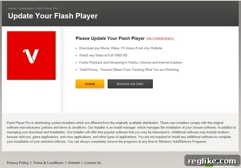 Do You Know Where Your Parked Domain Traffic Is Really Going? 3 Fake Adobe Flash Player Download Site
