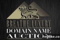 Rare Digital Assets: Paradise.com, Holiday.com, Iraq.com Domains Hit Auction Next Month