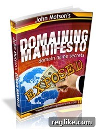 Domaining Manifesto Domaining Manifesto eBook Cover