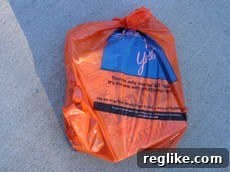 img 3518 1