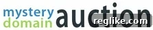 mystery domain auction Mystery Domain Auction website screenshot