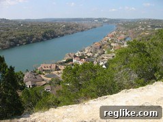 cedar fever Austin skyline with cedar trees