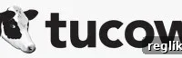 Tucows Sells $1M Domain Portfolio as Parking Revenue Stays Flat