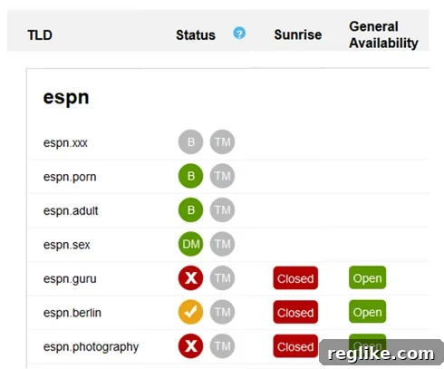 .XXX Registry Offers Domain Check for Trademark Holders 2 ICM Domain Check Example