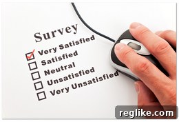 2015 Domain Name Wire Survey: A Numerical Overview 2 Domain Name Survey Participants