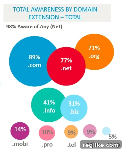 New TLDs Challenge Coms Reign Beyond US Borders 2 icann-awareness