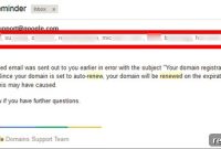 Google Domains Blunder Leaks 1,664 Customer Emails
