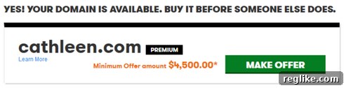 GoDaddy Resolves "Make Offer" Display Issue in Search 2 godaddy-cathleen
