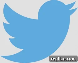 Twitter secures Twitter.com.au after a nine-year wait 2 Twitter logo
