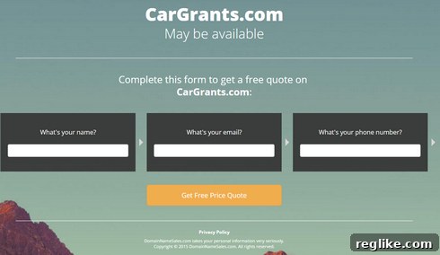 For Sale Landers: A Magnet for Misguided Inquiries 2 dns-lander