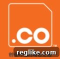 Co Capitalizes on China Mania Through Short Domain Auction 2 .Co goes to China.