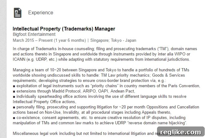 Bigfoot's LinkedIn Profile: A UDRP Liability? 2 marco-notarnicoloa-linkedin-bigfoot